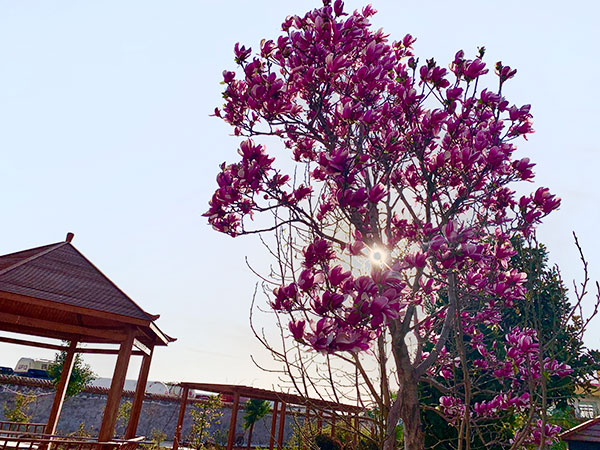 養(yǎng)老公寓院內(nèi)環(huán)境